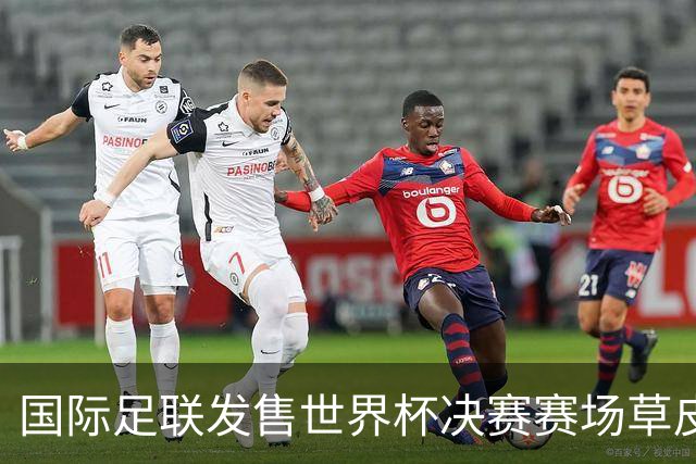 国际足联发售世界杯决赛赛场草皮 450美元一份