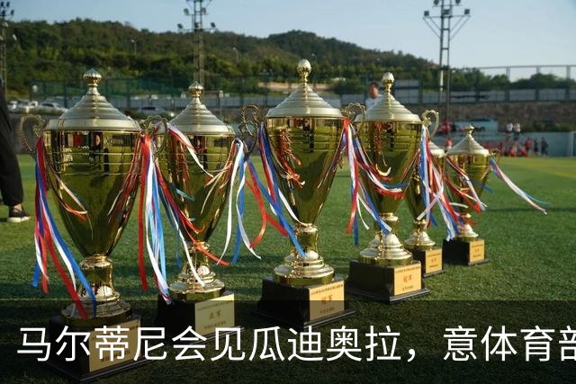 马尔蒂尼会见瓜迪奥拉，意体育部长：我不会干预意大利队选帅